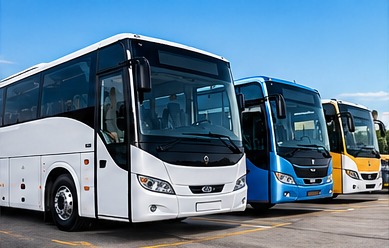 Buses